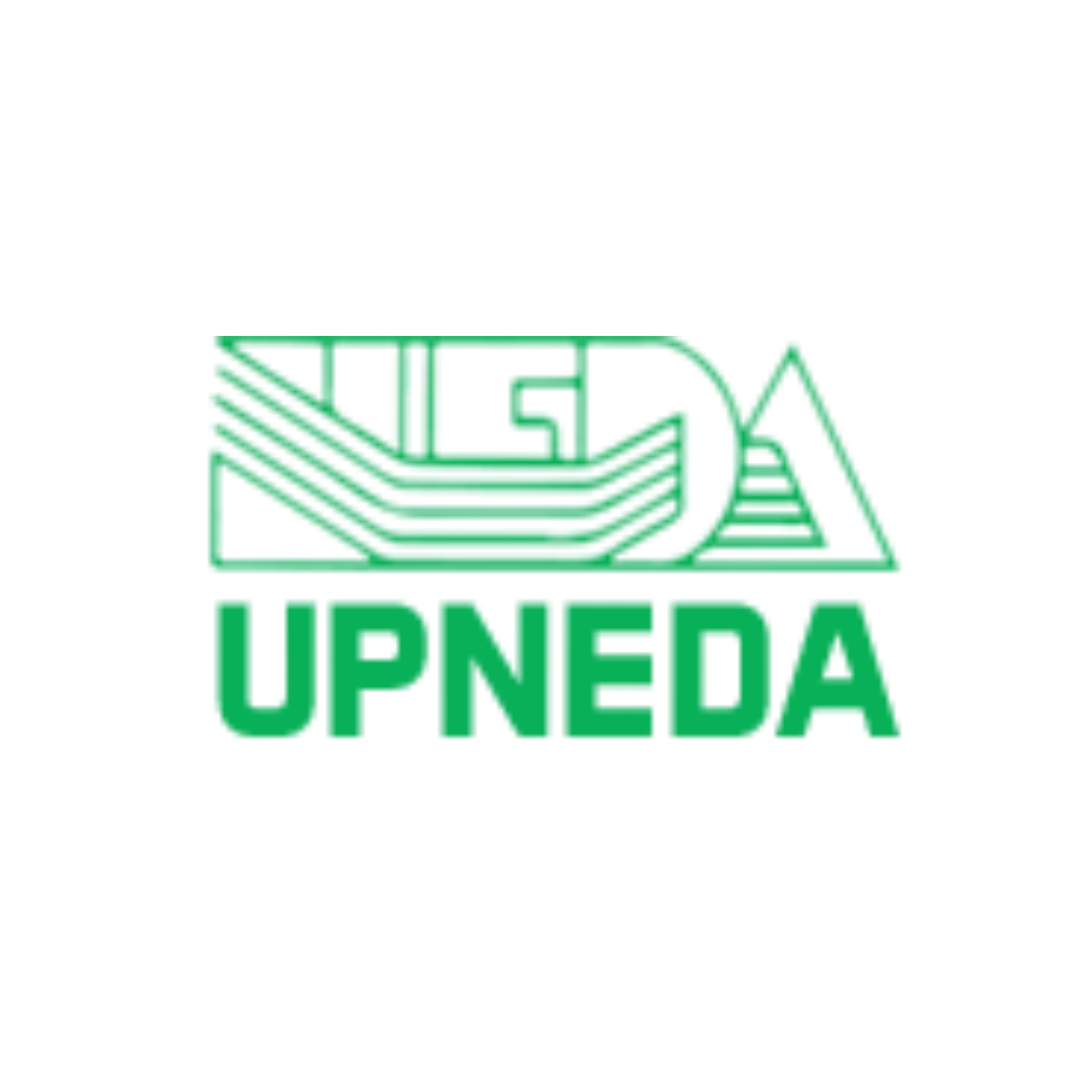 solar panel in India